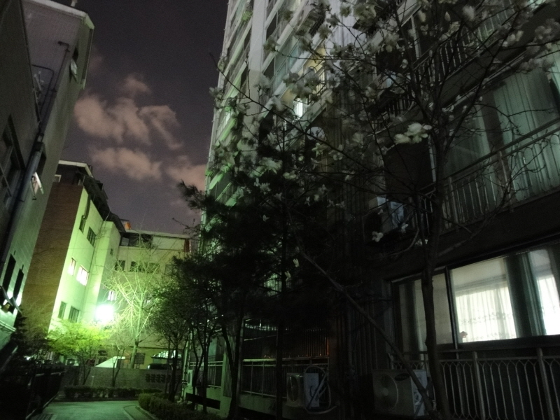 [DSC-WX1] 045.jpg